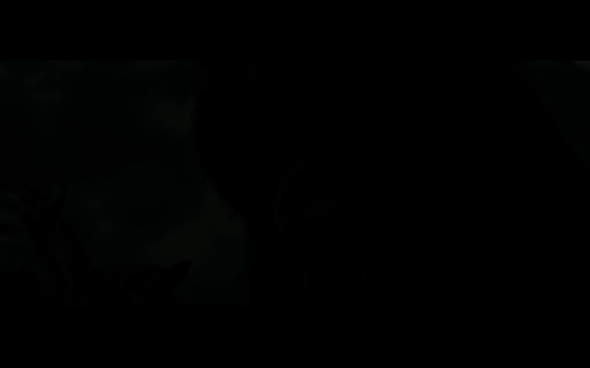 The Twilight Saga Breaking Dawn Part 1 - 810