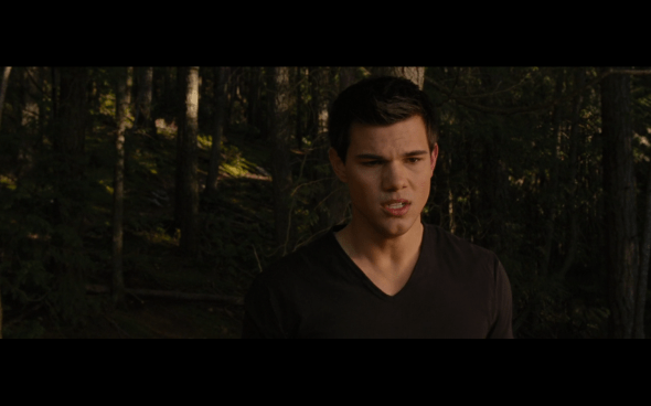 The Twilight Saga Breaking Dawn Part 1 - 814