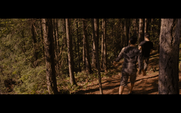 The Twilight Saga Breaking Dawn Part 1 - 821