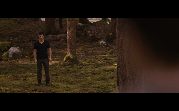 The Twilight Saga Breaking Dawn Part 1 - 823