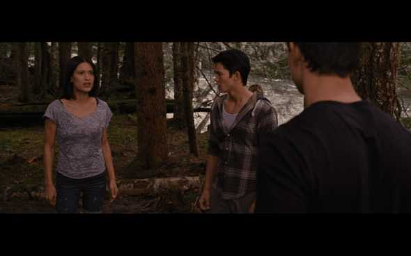 The Twilight Saga Breaking Dawn Part 1 - 828