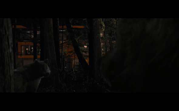 The Twilight Saga Breaking Dawn Part 1 - 860