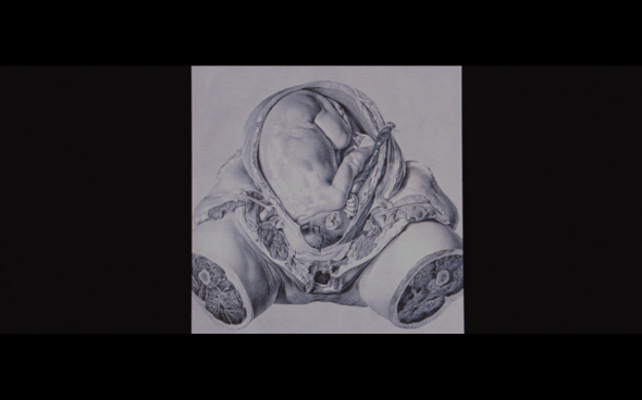 The Twilight Saga Breaking Dawn Part 1 - 864