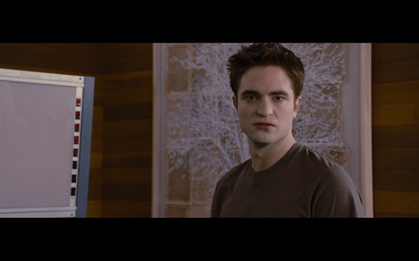 The Twilight Saga Breaking Dawn Part 1 - 882