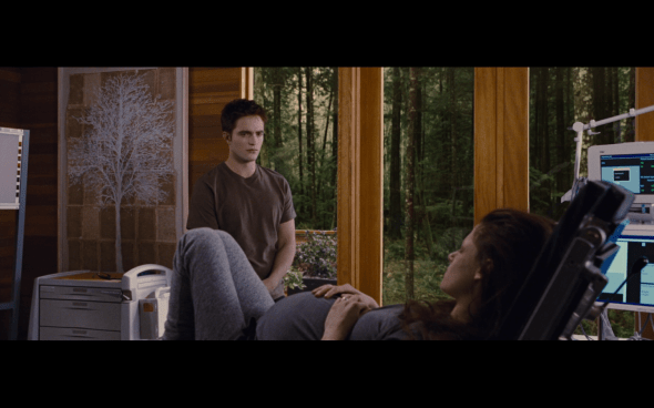 The Twilight Saga Breaking Dawn Part 1 - 886