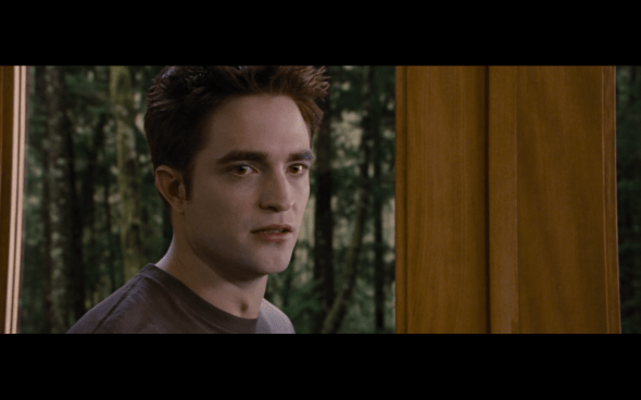 The Twilight Saga Breaking Dawn Part 1 - 888