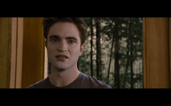 The Twilight Saga Breaking Dawn Part 1 - 889