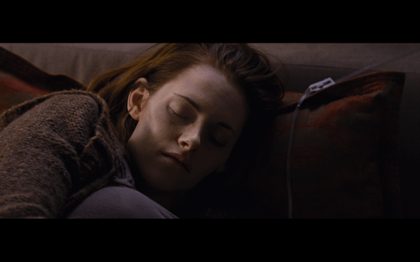 The Twilight Saga Breaking Dawn Part 1 - 912
