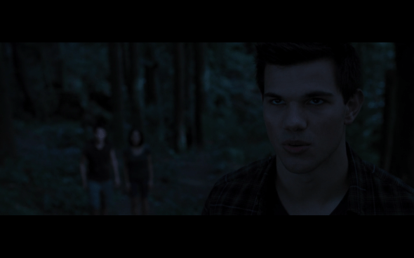 The Twilight Saga Breaking Dawn Part 1 - 987