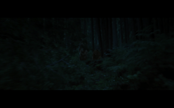 The Twilight Saga Breaking Dawn Part 1 - 988