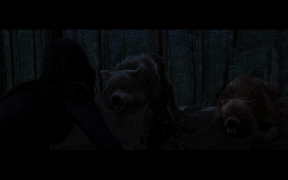 The Twilight Saga Breaking Dawn Part 1 - 991