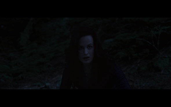 The Twilight Saga Breaking Dawn Part 1 - 992