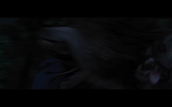 The Twilight Saga Breaking Dawn Part 1 - 994