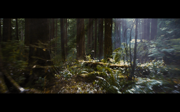 The Twilight Saga Breaking Dawn Part 2 - 100