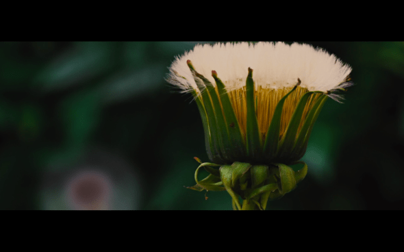 The Twilight Saga Breaking Dawn Part 2 - 104