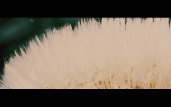 The Twilight Saga Breaking Dawn Part 2 - 105