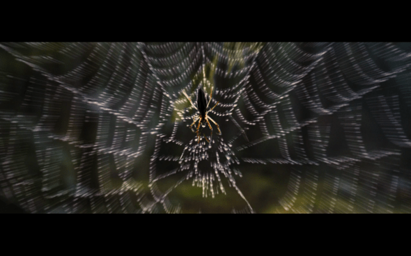 The Twilight Saga Breaking Dawn Part 2 - 109