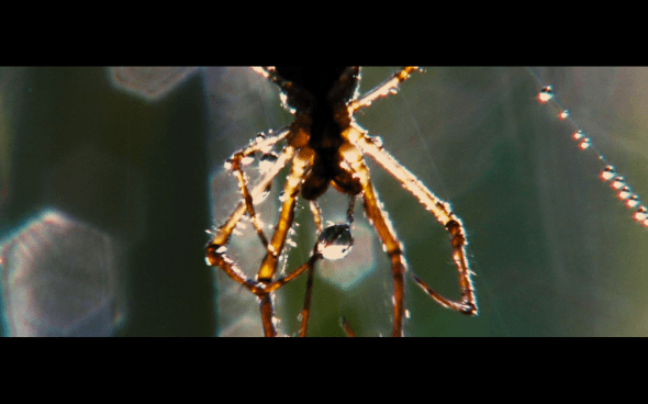 The Twilight Saga Breaking Dawn Part 2 - 110