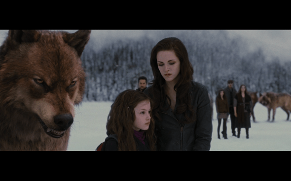 The Twilight Saga Breaking Dawn Part 2 - 1235