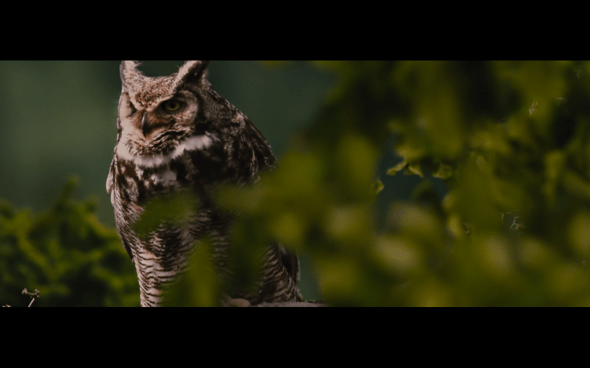 The Twilight Saga Breaking Dawn Part 2 - 129