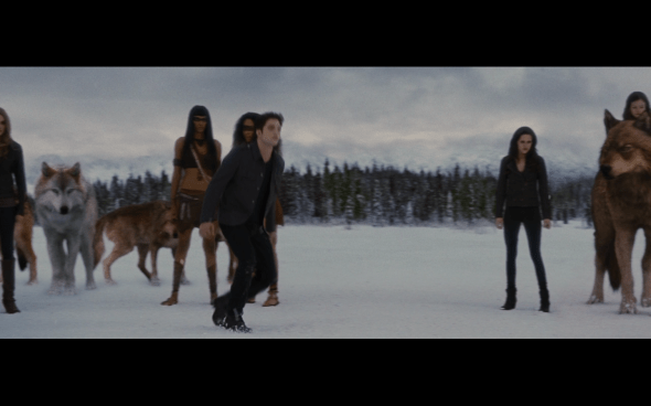 The Twilight Saga Breaking Dawn Part 2 - 1300