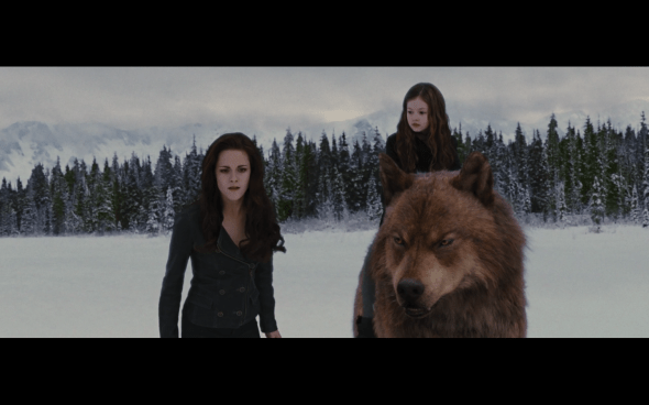 The Twilight Saga Breaking Dawn Part 2 - 1302