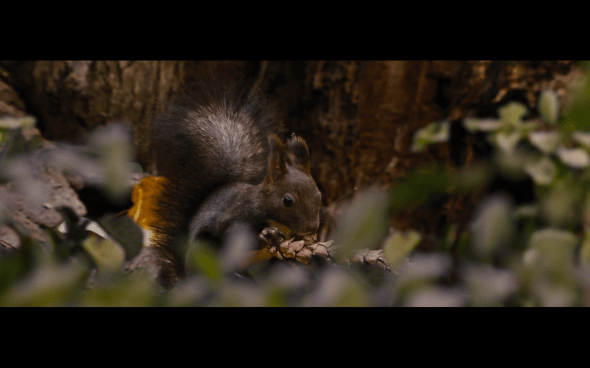 The Twilight Saga Breaking Dawn Part 2 - 131