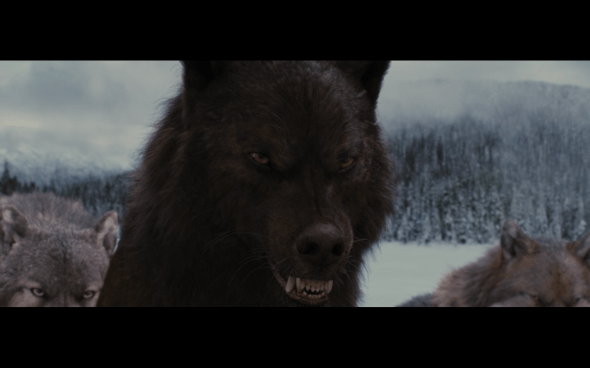 The Twilight Saga Breaking Dawn Part 2 - 1318