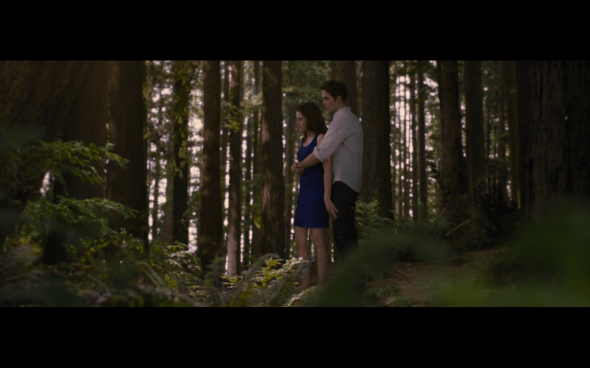 The Twilight Saga Breaking Dawn Part 2 - 132