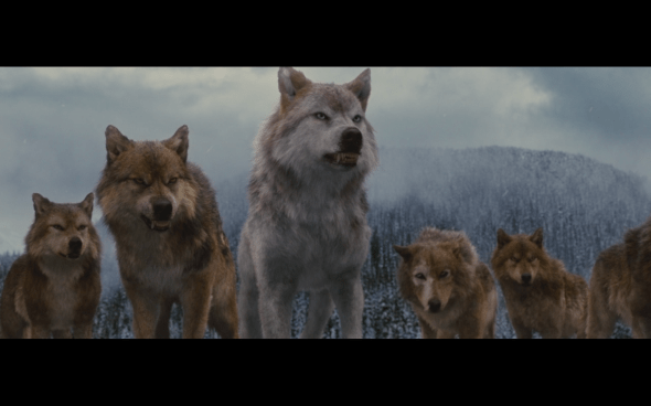 The Twilight Saga Breaking Dawn Part 2 - 1323