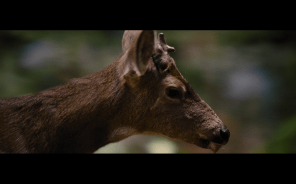 The Twilight Saga Breaking Dawn Part 2 - 133