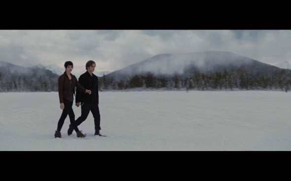 The Twilight Saga Breaking Dawn Part 2 - 1341