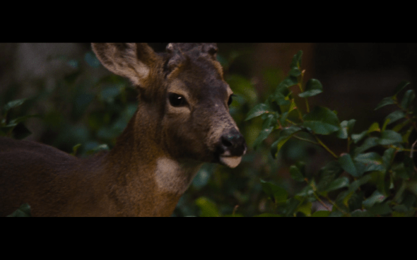 The Twilight Saga Breaking Dawn Part 2 - 135