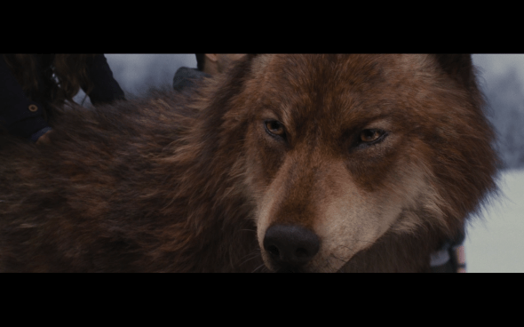 The Twilight Saga Breaking Dawn Part 2 - 1369