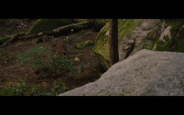 The Twilight Saga Breaking Dawn Part 2 - 140