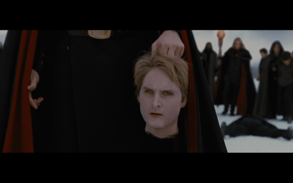 The Twilight Saga Breaking Dawn Part 2 - 1413