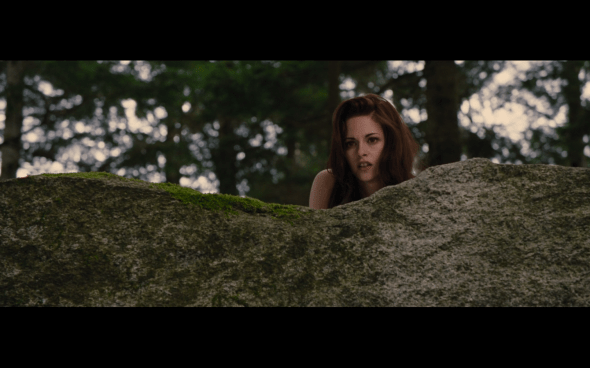 The Twilight Saga Breaking Dawn Part 2 - 142