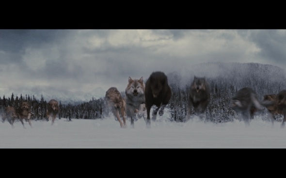 The Twilight Saga Breaking Dawn Part 2 - 1427