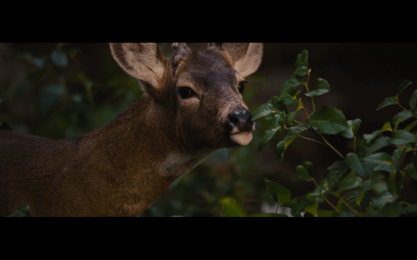 The Twilight Saga Breaking Dawn Part 2 - 143