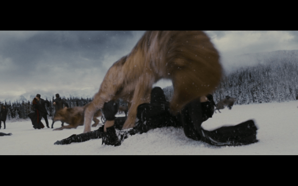 The Twilight Saga Breaking Dawn Part 2 - 1501