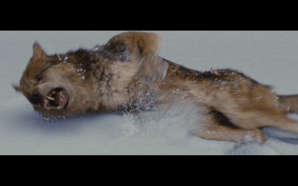 The Twilight Saga Breaking Dawn Part 2 - 1505