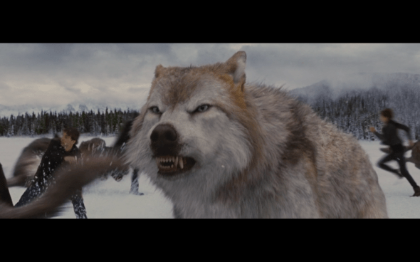 The Twilight Saga Breaking Dawn Part 2 - 1509