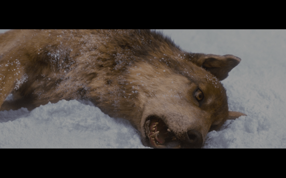 The Twilight Saga Breaking Dawn Part 2 - 1511