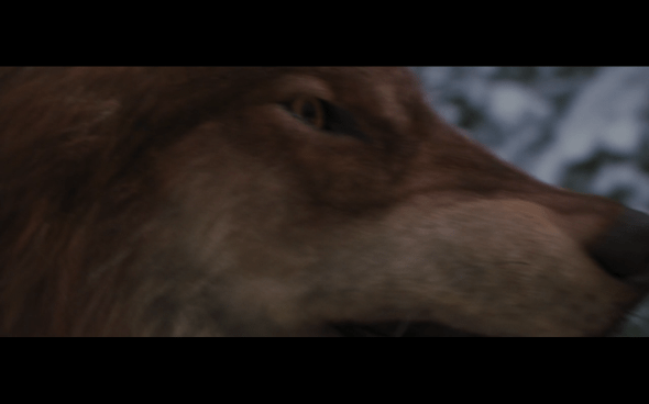 The Twilight Saga Breaking Dawn Part 2 - 1515