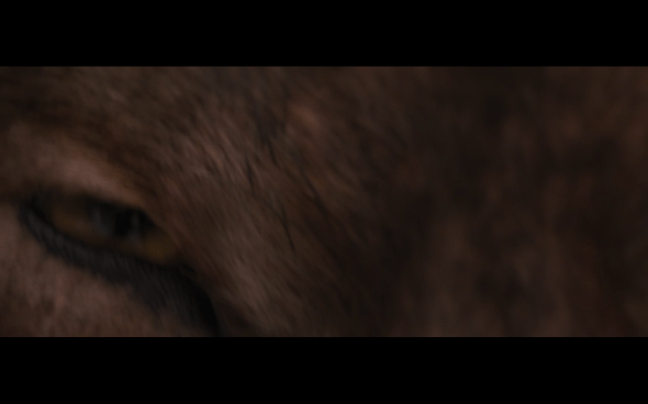 The Twilight Saga Breaking Dawn Part 2 - 1516