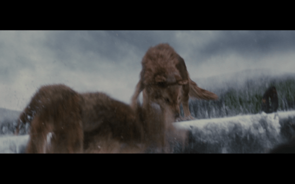 The Twilight Saga Breaking Dawn Part 2 - 1543