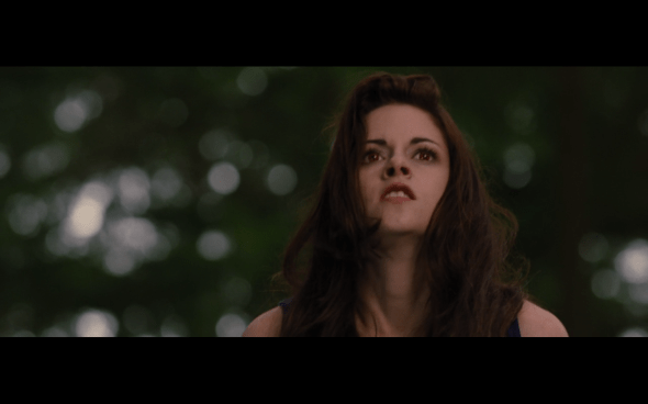 The Twilight Saga Breaking Dawn Part 2 - 156