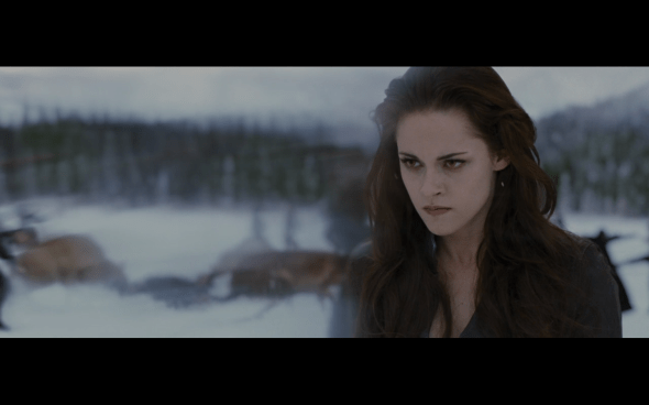 The Twilight Saga Breaking Dawn Part 2 - 1598