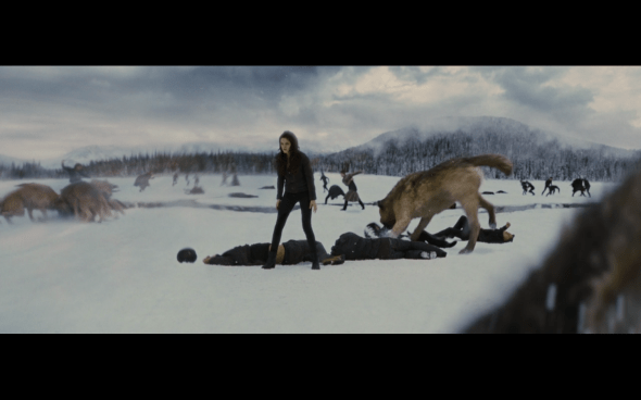 The Twilight Saga Breaking Dawn Part 2 - 1599