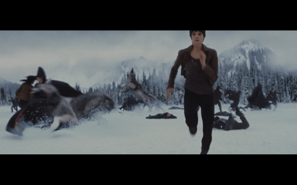 The Twilight Saga Breaking Dawn Part 2 - 1611